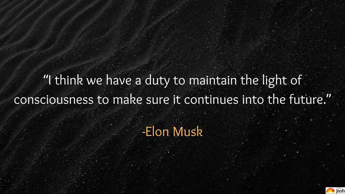 Elon Musk quotes